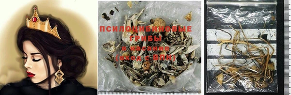 прущая мука Баксан