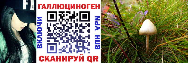 Галлюциногенные грибы Psilocybine cubensis  наркота  Бирюсинск 